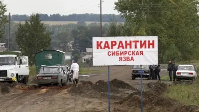 Заражение сибирской язвой в Акмолинской области подтвердили в Минздраве