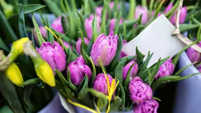 Кто получит денежные выплаты к 8 Марта в Астане