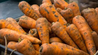 Погодные риски не должны повлиять на качество урожая – Бектенов 