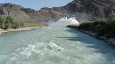 Бозумбаев о дефиците поливной воды на юге: Обстановка напряжённая, но были годы похуже