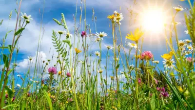 Жара, дожди и ветер: какую погоду прогнозируют в Казахстане в июне