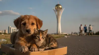 Где построят новый приют для бездомных животных под Астаной