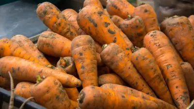 В нескольких регионах Казахстана не продали и четверть овощей из стабфонда