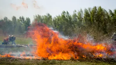 Сколько лесных и степных пожаров произошло в Казахстане, рассказали в МЧС