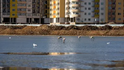 Спор по Малому Талдыколю: прокурор просит установить водоохранные полосы на трёх участках