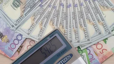 Появились первые декларации казахстанских чиновников, но в них раскрыли только доходы их супругов