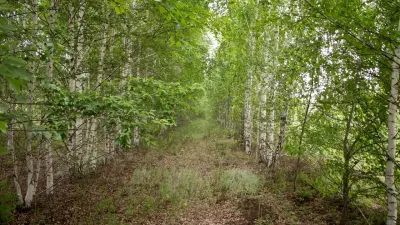 Землю в рекреационной зоне стоимостью 567 млн тенге незаконно отдали бизнесмену в Щучинске