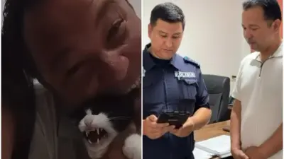 Мужчину, издевавшегося над кошкой во время прямого эфира в TikTok, оштрафовали в Кызылординской области