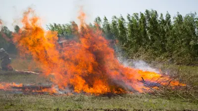 Привлечение школьников к уборке во время пожара в Приречном опровергли в управлении образования