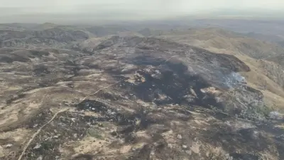 Пожар, который перешёл в Казахстан из соседней страны, потушили в Жамбылской области