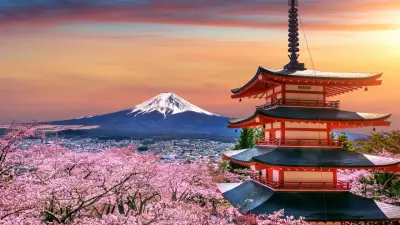 "Число туристов намного превзошло ожидания". Фестиваль цветения сакуры отменили в Японии