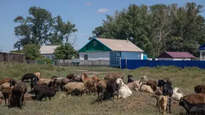 Программы "Ауыл ел бесігі" и "Развитие окраин городов" планируют закрыть в Казахстане