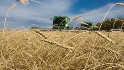 Сколько можно заработать интервьюером во время сельхозпереписи в Казахстане