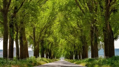 Где появятся новые экопарки для отдыха рядом с Астаной