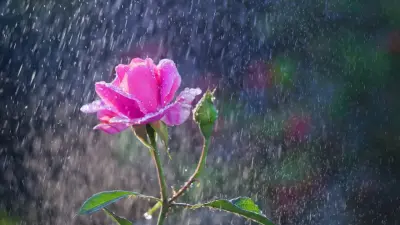 Дожди, грозы и шквал: какая погода ждёт казахстанцев в ближайшие три дня