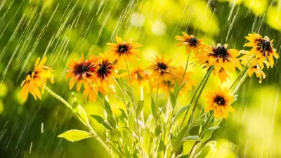 Жара, дождь и град: какая погода ждёт казахстанцев в ближайшие три дня