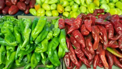 Продукты со скидками до 15%: сельскохозяйственные ярмарки будут проходить в Алматы каждые выходные