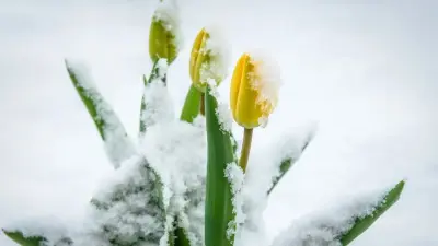 Гололёд и метель: какая погода ждёт казахстанцев перед 8 марта