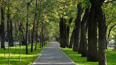 Новое предприятие по вопросам озеленения и благоустройства создадут в Алматы