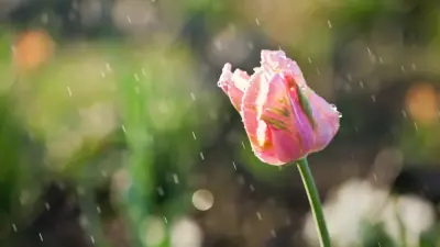 Дождь и 40-градусная жара: какая погода ждёт казахстанцев в ближайшие дни