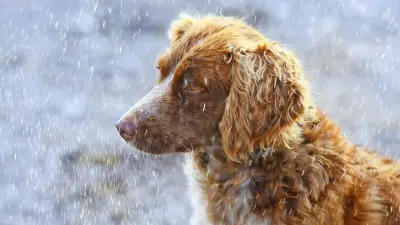 Мокрый снег и заморозки: какая погода ждёт казахстанцев в выходные
