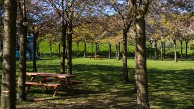 Отдых за городом: будут ли брать плату за въезд на территорию экопарков в Казахстане