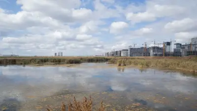 Спор по Малому Талдыколю: суд принял решение по иску общественников