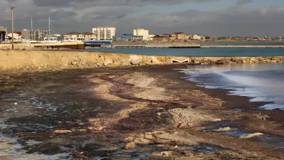 "Прогнозы неутешительны": Бектенов призвал соседние страны объединиться для спасения Каспия