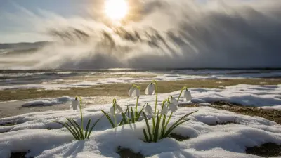 Потепление и метель: какая погода ждёт казахстанцев в выходные