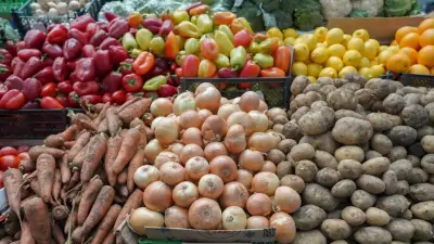 Такой подход неприемлем – Токаев о временном расширении списка социальных продуктов и запретах на экспорт