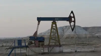 Минимизировать риски простоев на заводе KPI поручил Бектенов