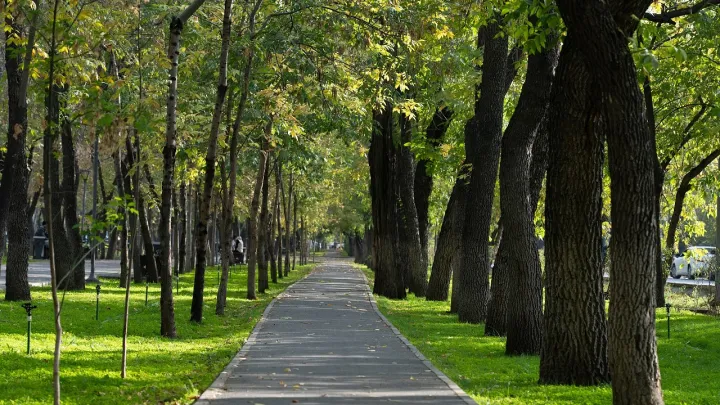 Центральный парк в Астане начали благоустраивать
