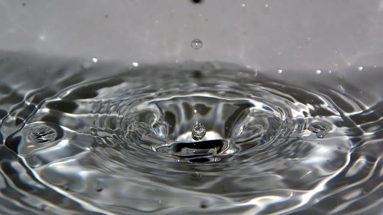 Фото Pixabay.com      