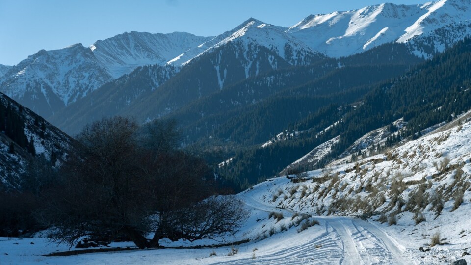 Фото Informburo.kz