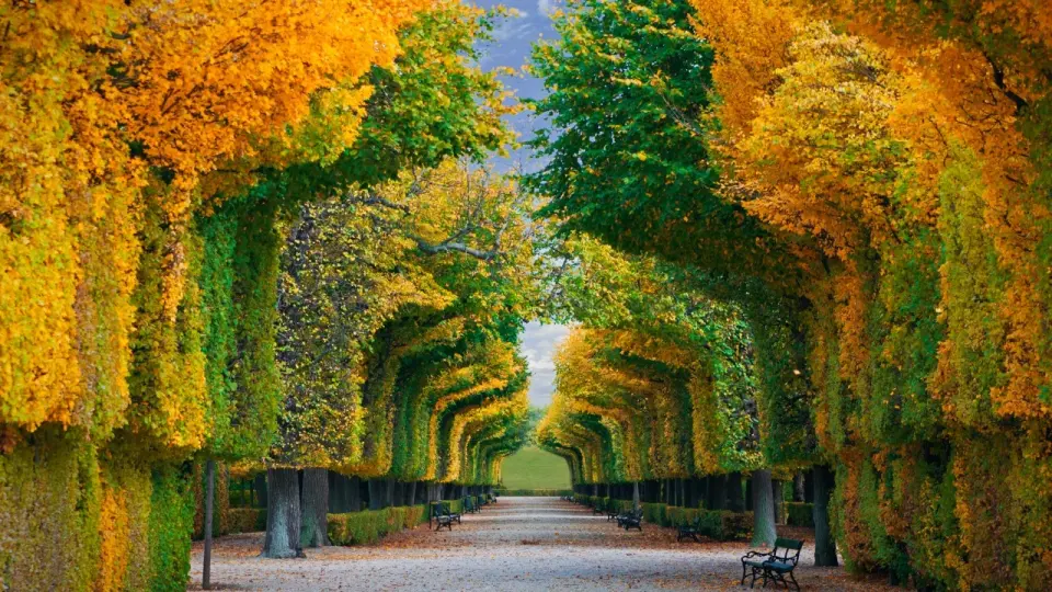Фото Depositphotos.сom
