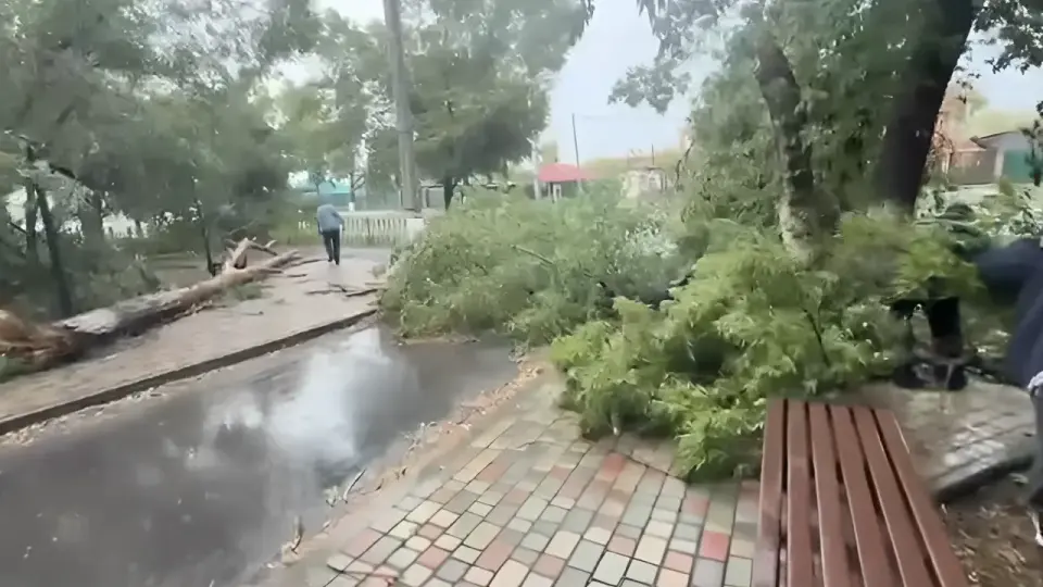 Фото со страницы akyshovalmat в Instagram