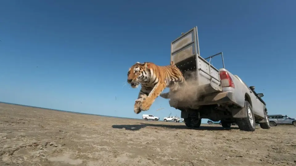 Фото Министерства экологии и природных ресурсов РК