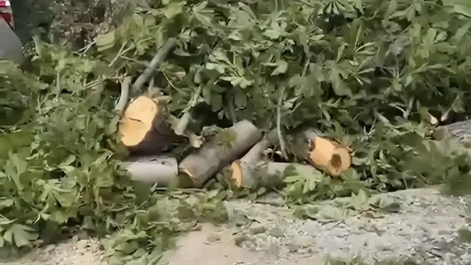 Фото со страницы @sanekgondar в Threads