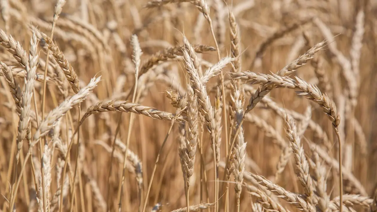 Фото Informburo.kz