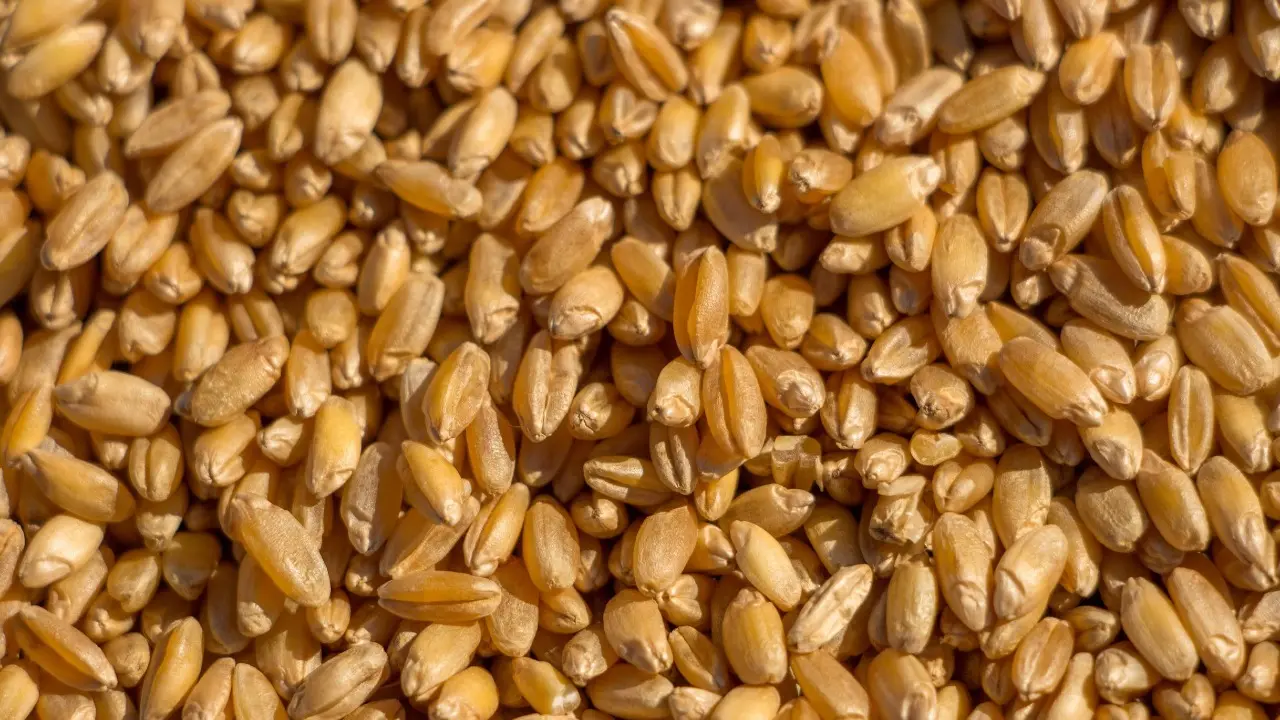 Фото Informburo.kz