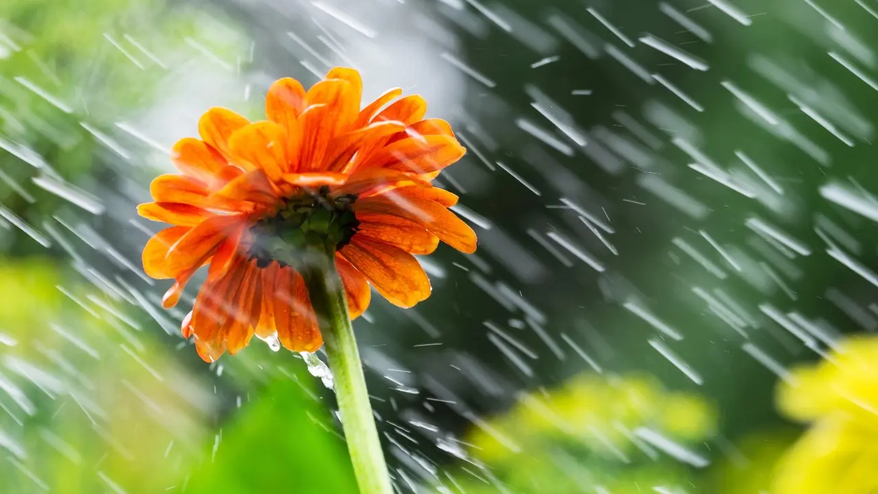 Фото Depositphotos.com