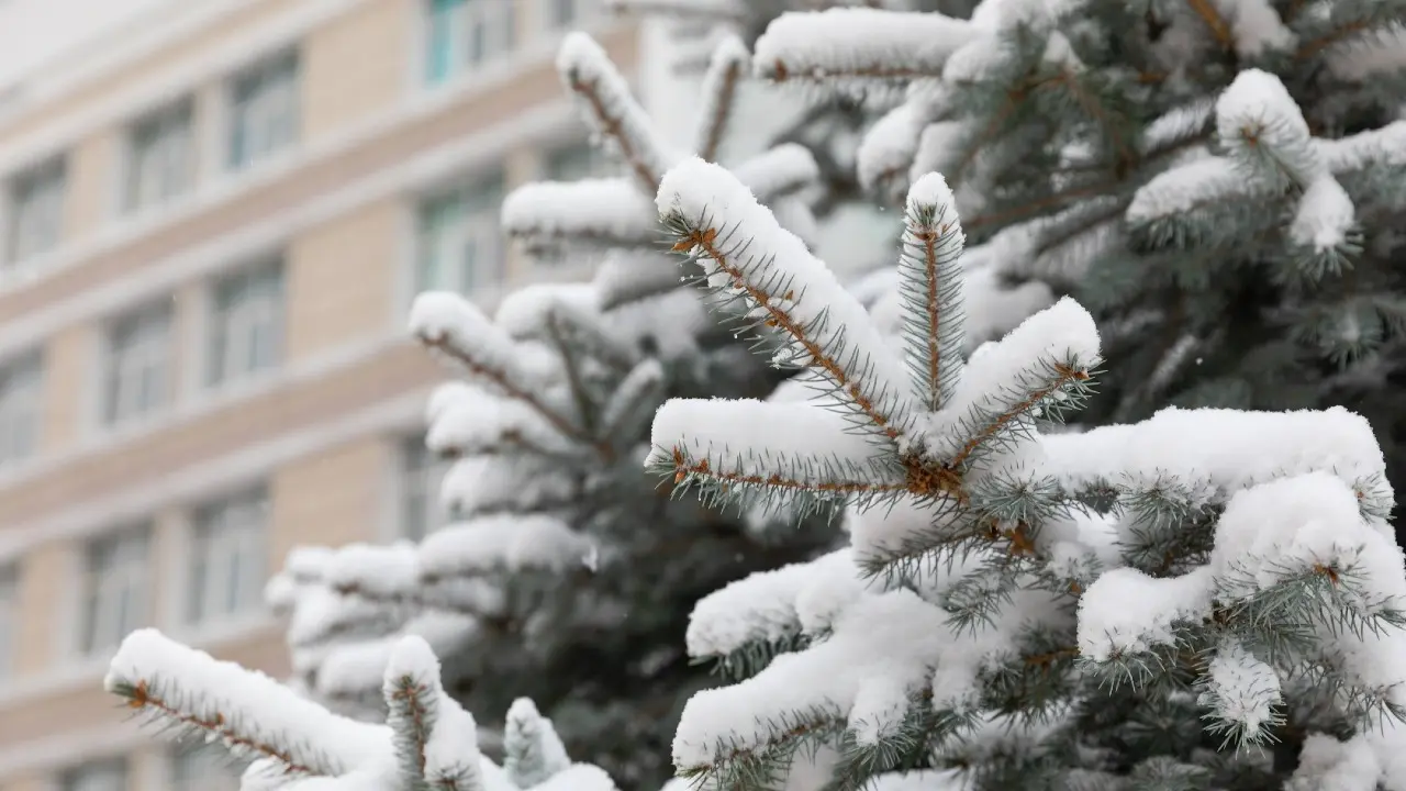 Фото Informburo.kz