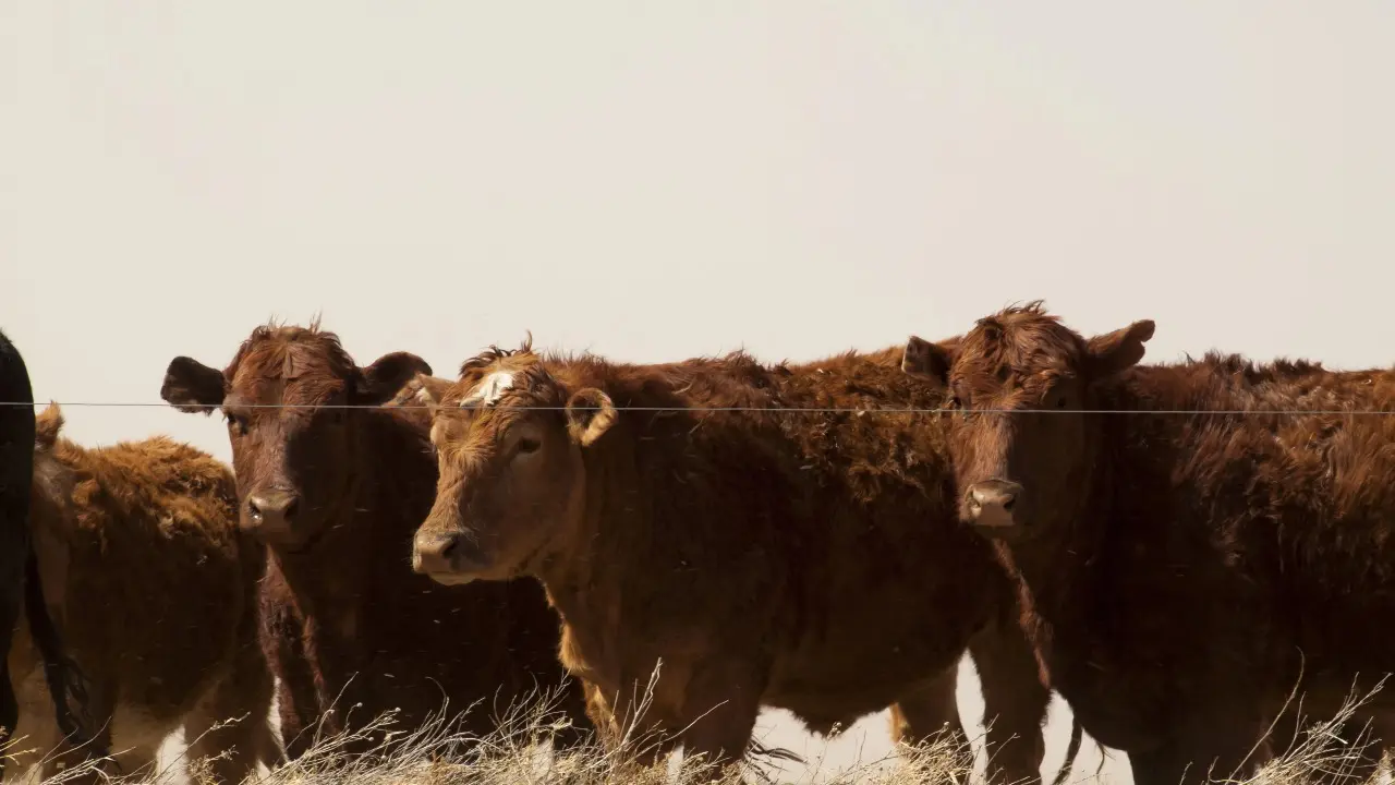 Фото Depositphotos.com