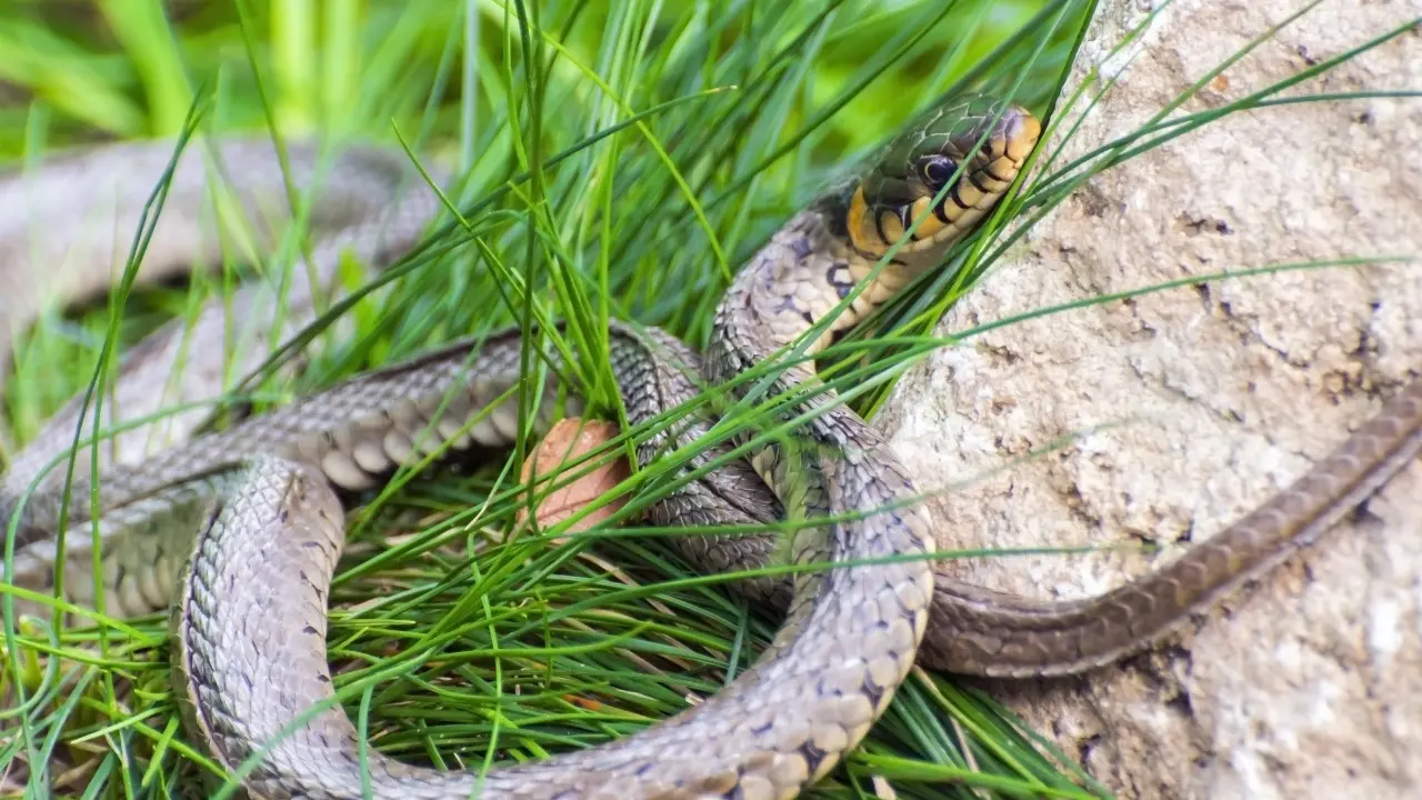 Фото Depositphotos.com