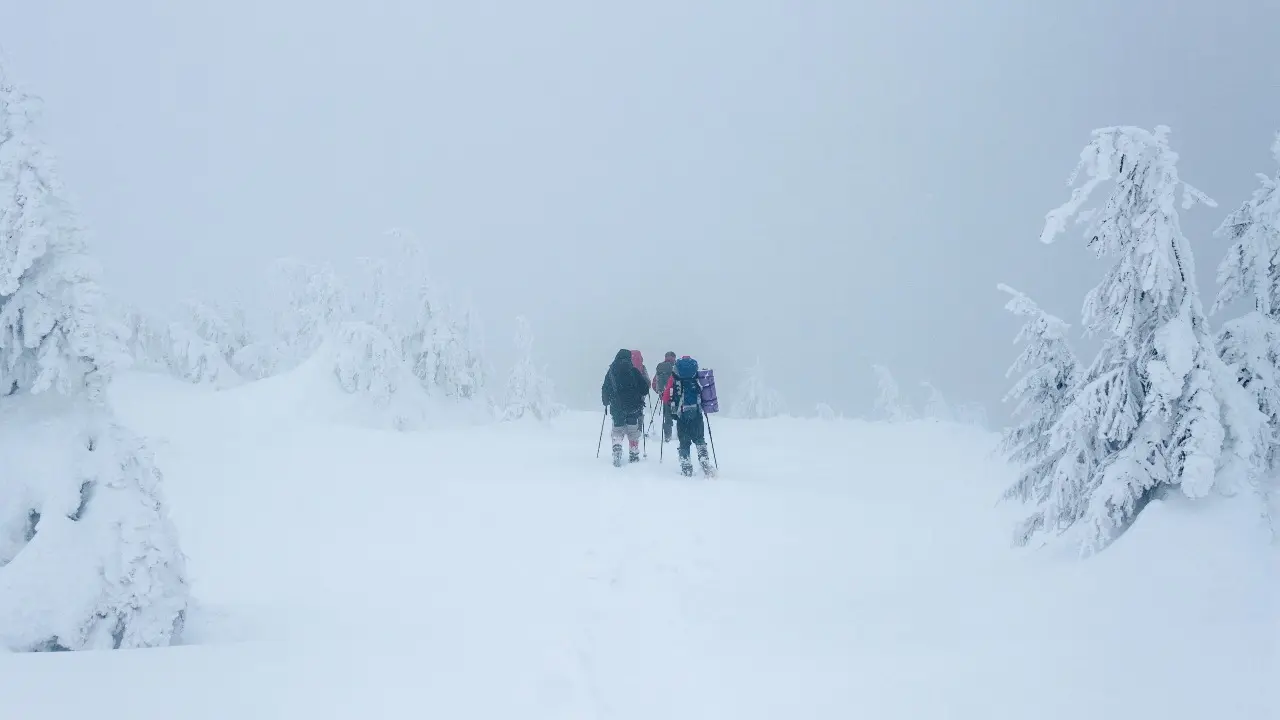 Фото Depositphotos.com