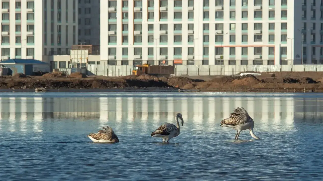 Озеро Талдыколь / Фото Informburo.kz