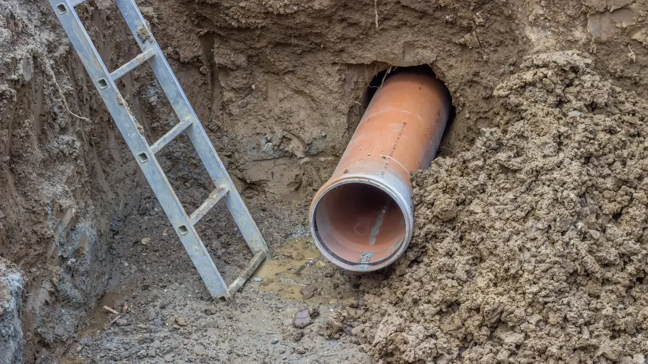 Фото Depositphotos.com