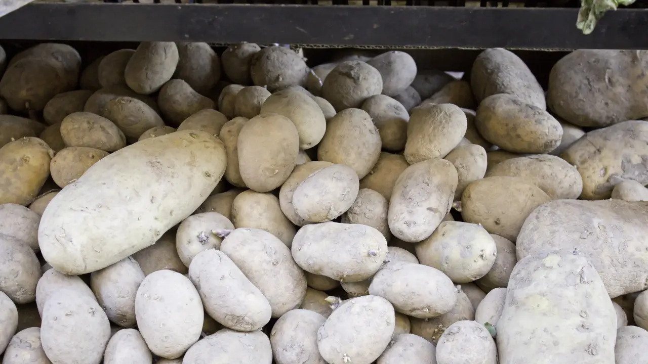 Фото Depositphotos.com