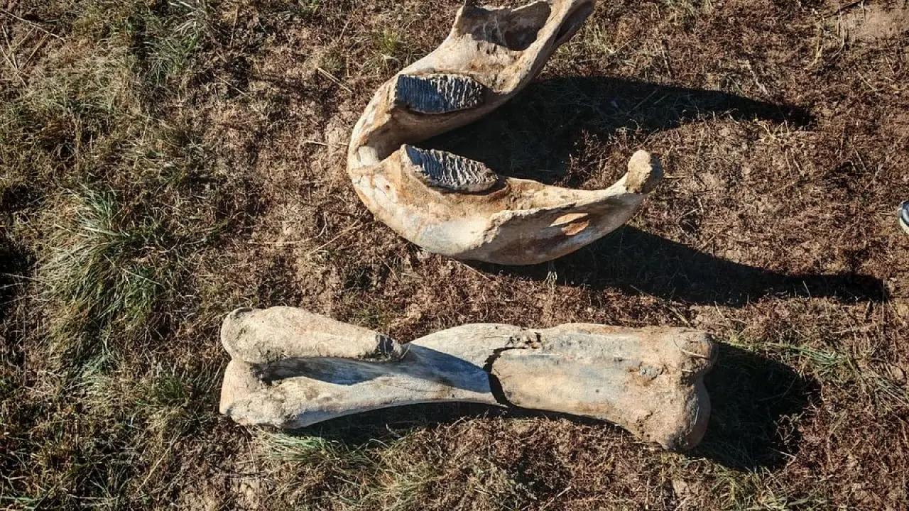 Фото Национального музея РК