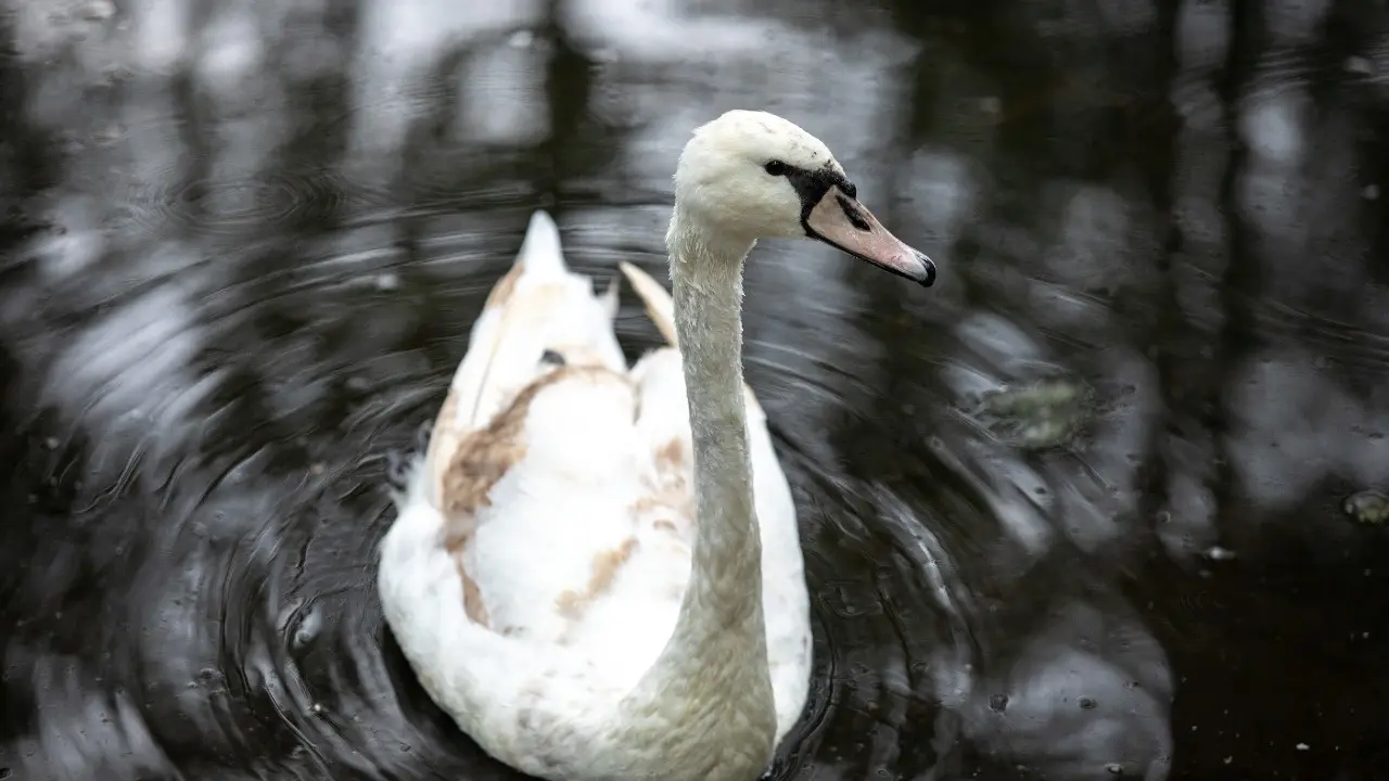 Фото Informburo.kz